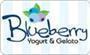 תמונת לוגו Blueberry בלוברי יוגורט בר נהריה תמונת לוגו Blueberry בלוברי יוגורט בר נהריה