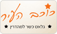 כוכב העיר רחובות לוגו
