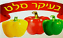 תמונת לוגו בעיקר סלט תמונת לוגו בעיקר סלט