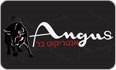 לוגו Angus אנגוס אנטריקוט - יגאל אלון שער העיר בית שמש