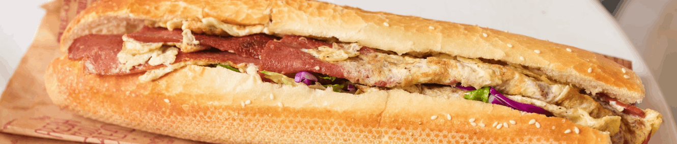 שנביץ יבנה ביבנה
