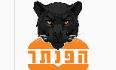 הפנתר לוגו