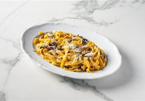 טליאטלה פטריות