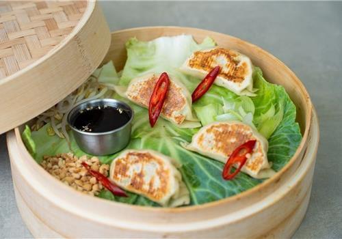 גיוזה עוף בעבודת יד צרובה 4 יח'