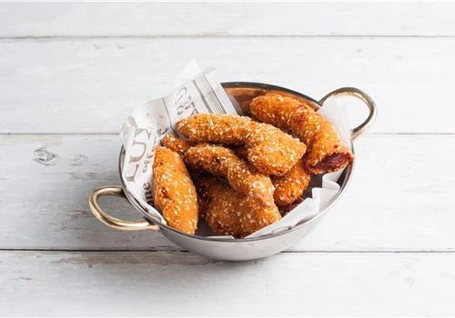 שניצלוני הבית 250 ג'