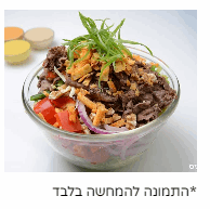 סלט חזה עוף