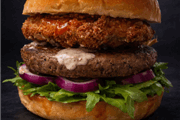 DRIPSI BURGER (המבורגר למתקדמים) - רגיל