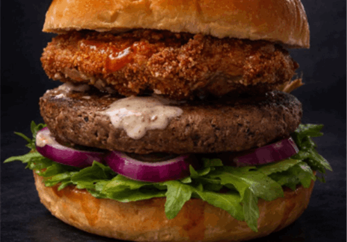 DRIPSI BURGER (המבורגר למתקדמים) - רגיל