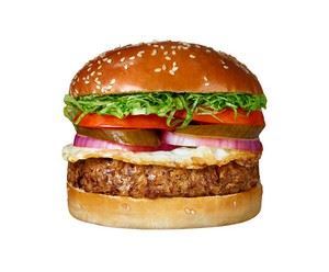 המבורגר אגאדיר - 330 גר'