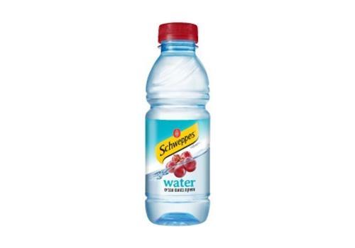 שוופס מים ענבים - בקבוק פלסטיק 0.5 ליטר