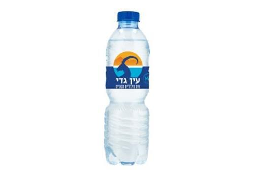 מים מינרליים עין גדי - בקבוק פלסטיק 0.5 ליטר
