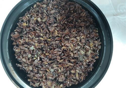 מנות לבית - אורז בריאות - 250 גרם (טבעוני)
