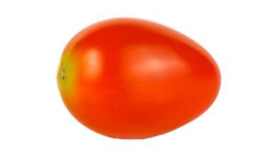 עגבניה תמר גדולה
