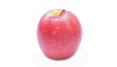 תפוח עץ פינק ליידי