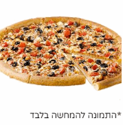 פיצה היוונית- צמחוני L