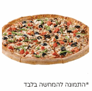 פיצה הצמחונית XL
