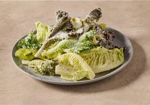 סיזר קלאסי סיזר קלאסי