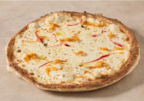 פיצה הלבנה פיצה הלבנה