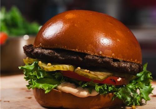 פלאש בורגר 100 גרם