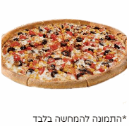 פיצה טוליפ XL