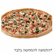 פיצה הצמחונית L