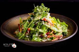 סלט ירקות סיני סלט ירקות סיני