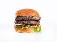 WILD בורגר - 440 גרם