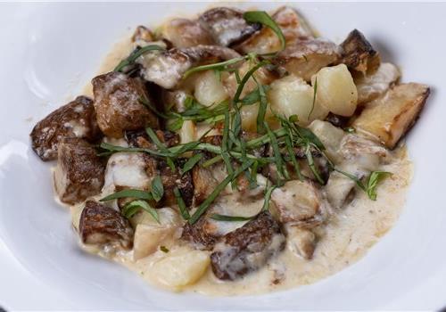 תפו"א מוקרם תפו"א מוקרם