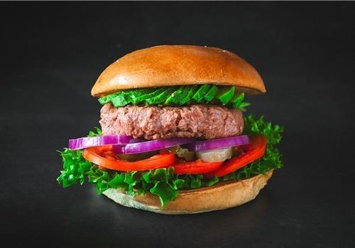 בורגר רידיפיין מיט