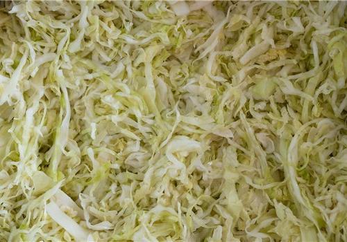 סלט כרוב לבן 