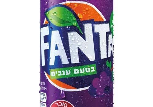 פאנטה בטעם ענבים 330 מ”ל