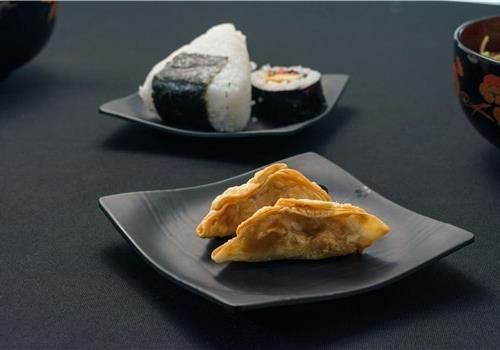 1029 גיוזה צמחונית 