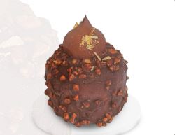 רוטנדו נוגט