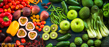 תמונה להמחשה